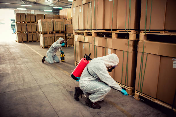 Best Residential Pest Control  in Fairwood, WA