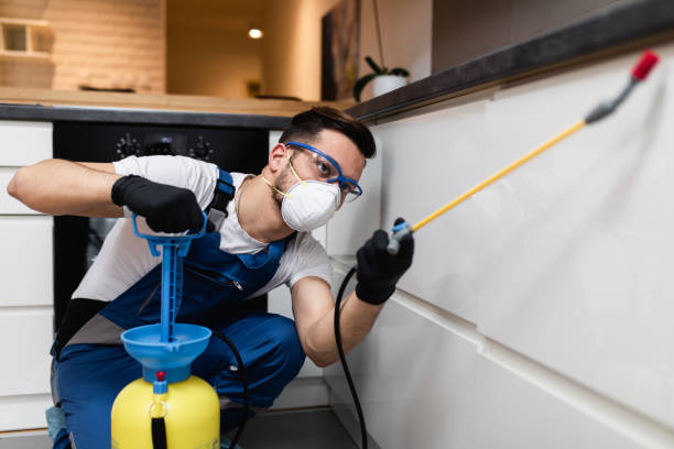 Best Pest Control for Restaurants  in Fairwood, WA