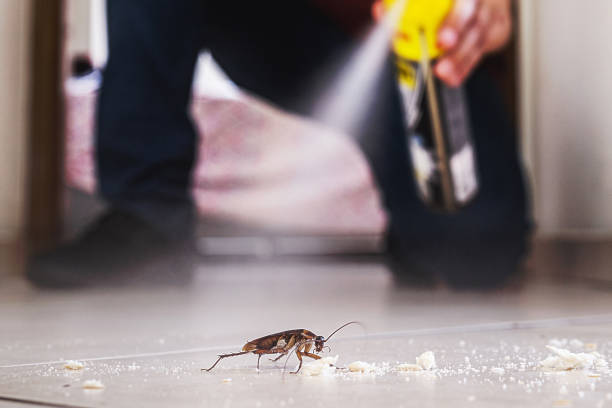 Best Best Pest Control Companies  in Fairwood, WA